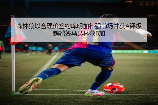 森林狼以合理价签约库明加补强前场并获A评级 鹈鹕签马瑟林获B加（MILANSPORT）